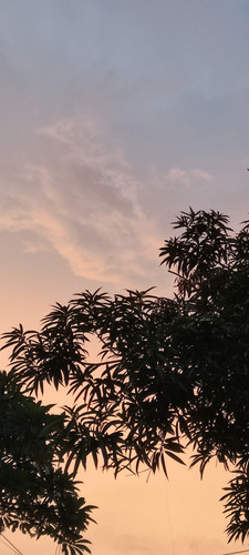 IMG 20231211 181404.jpg