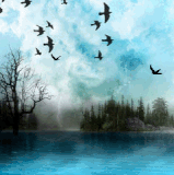 images%2Fimage 1702301688820.gif