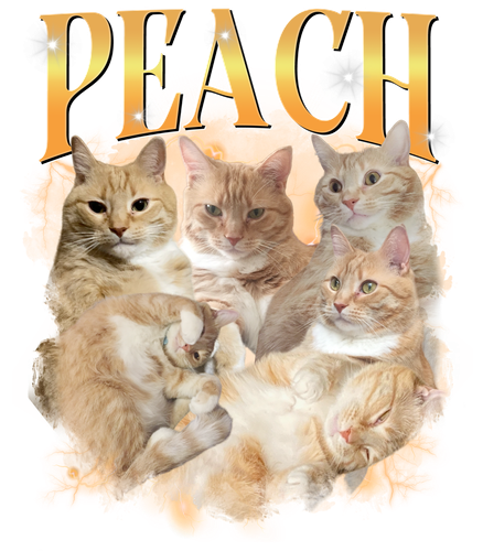 3129908834.png