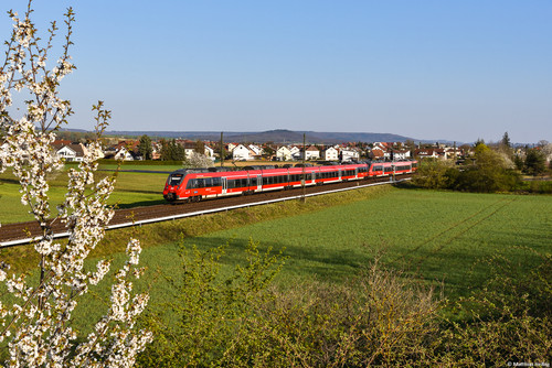 DSC 7089C.jpg