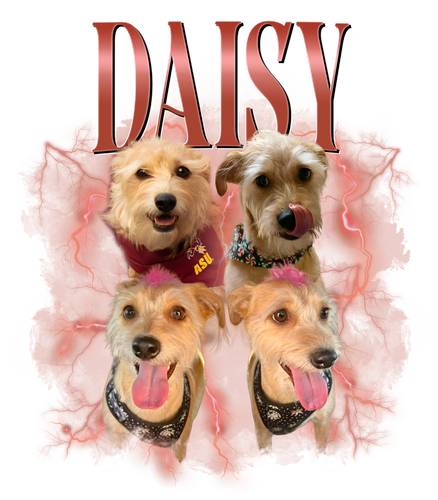 daisy.png