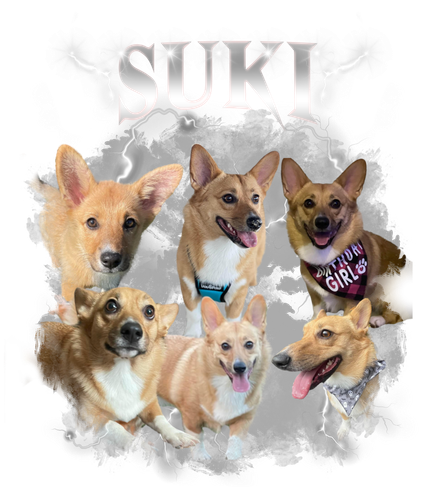 suki.png