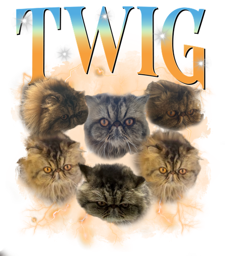3122378486 cat.png