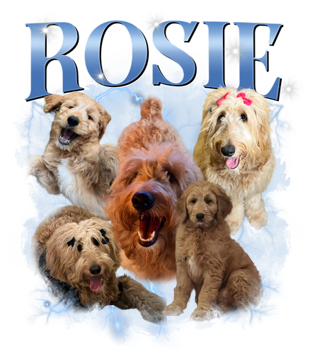 ROSIE.png