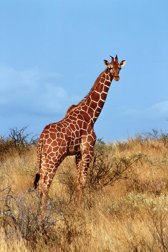 43cf3135 4ea1 457b abf5 e39f160e7249.jpg