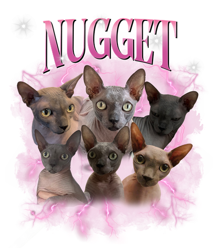 Nugget.png