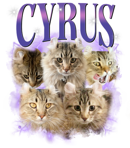 #3127627141 purple.png