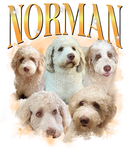 3130325148 Norman.png