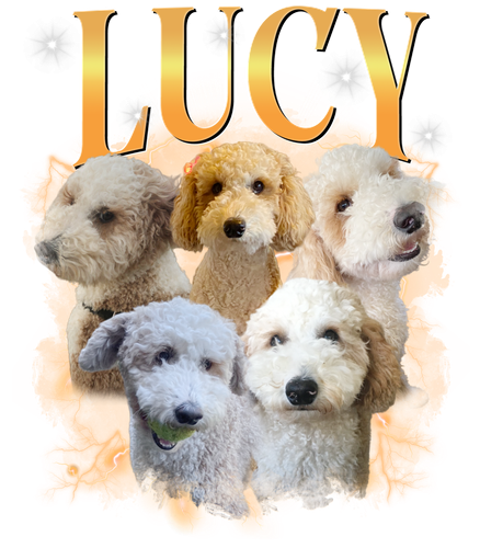 3130325148 Lucy.png