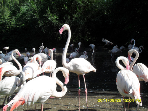 SDC12299.jpg