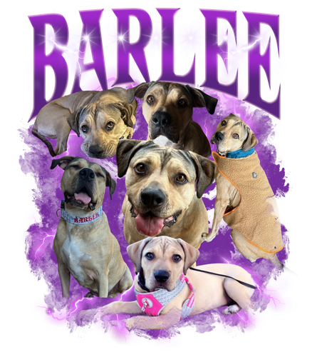 Barlee 2.png