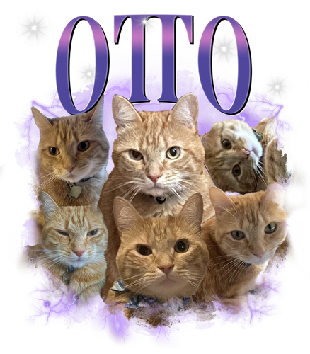 3121474447.png