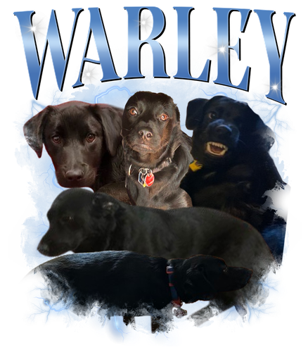 Warley 3