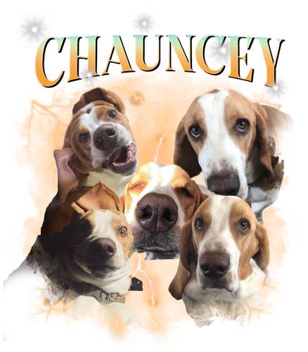 chauncey.png