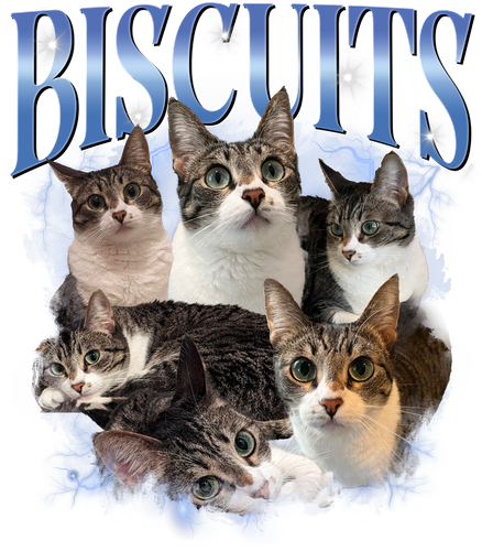 BISCUITS.png
