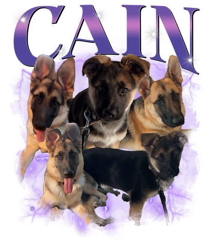 Cain.png
