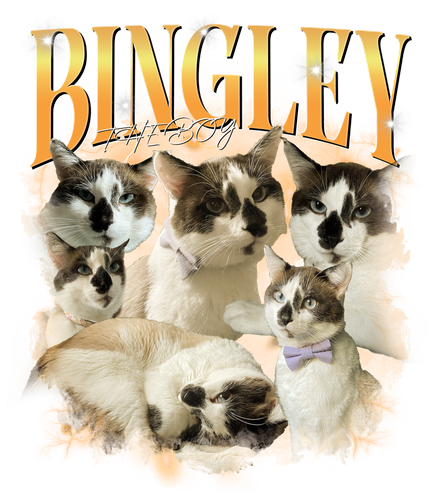 bingley.png