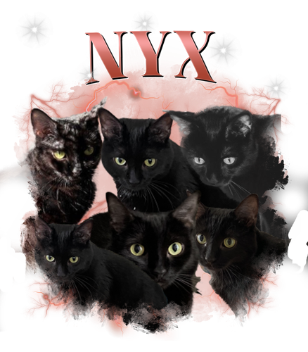 nyx.png