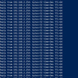 WhatsApp Image 2023 12 12 at 08.25.40.jpg