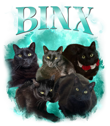 BINX.png