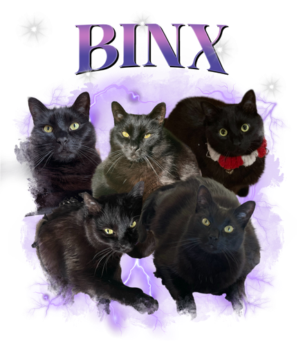 BINX.png