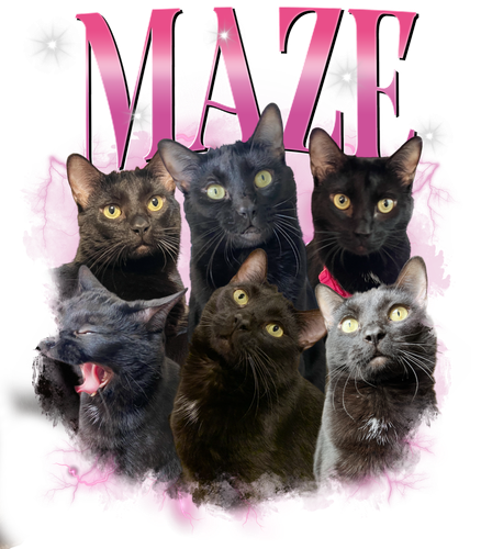 3132686094 Maze 1.png