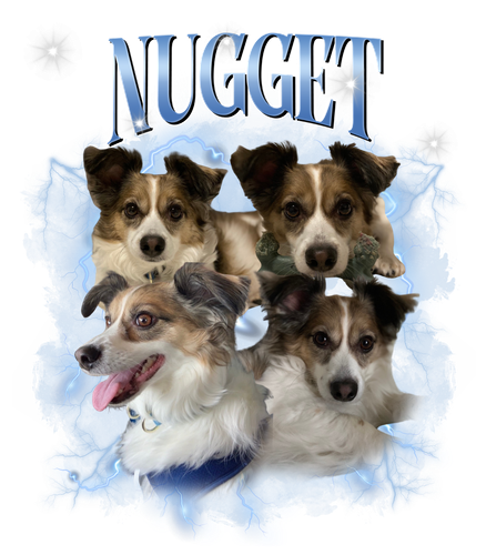 Nugget 4.png