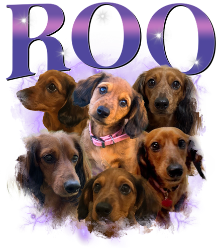 ROO.png