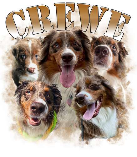 Custom dog Crewe.png