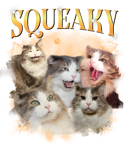 squeaky.png