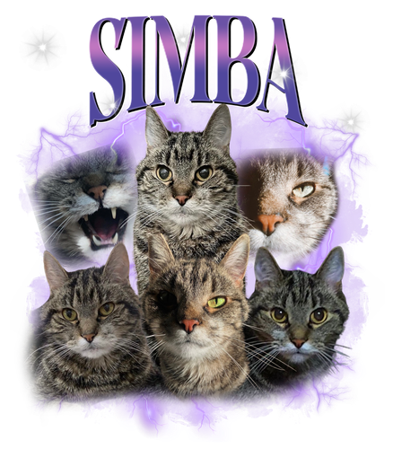 Simba.png
