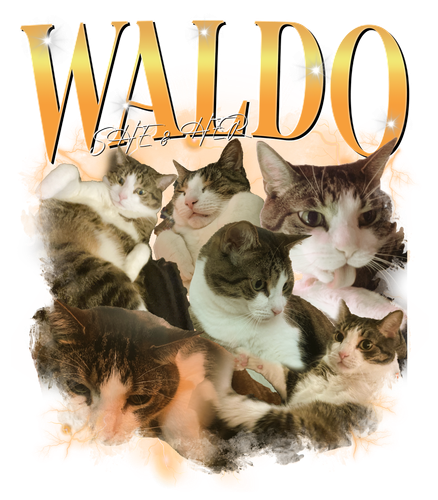 waldo.png