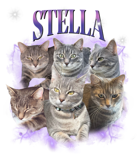 Stella.png