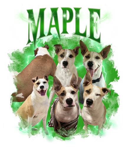 maple.png