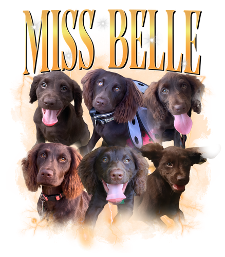 Miss Belle.png