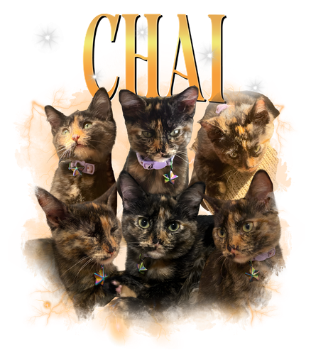 chai.png