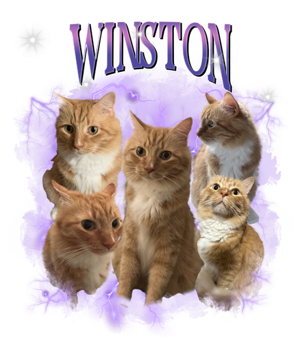 winston 6.png
