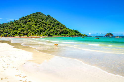 Pantai Selong Belanak.jpg