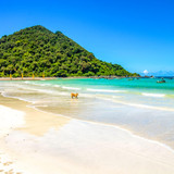 Pantai Selong Belanak
