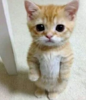 Screenshot 2023 10 21 173610.png