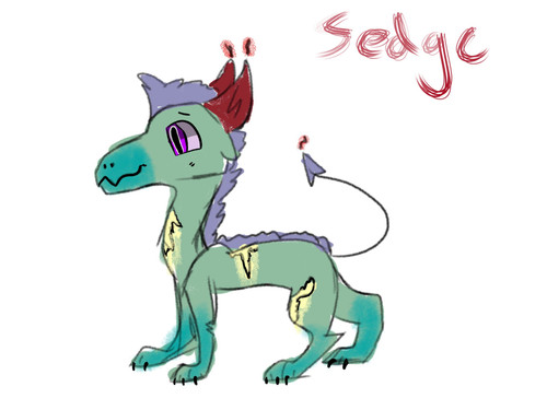 sedgemaybe.jpg
