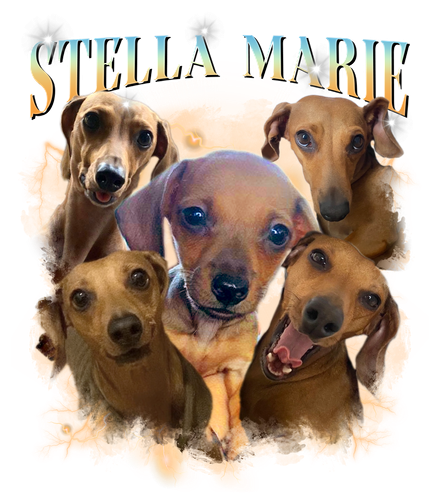 3121353937 Stella Marie 11.png