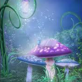 PsychedelicPurpleShroom