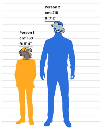 Height Difference.jpg