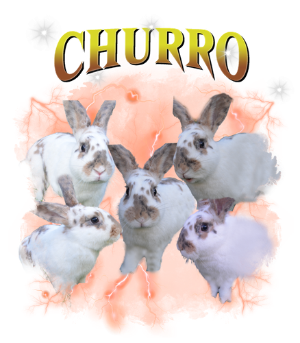 churro.png