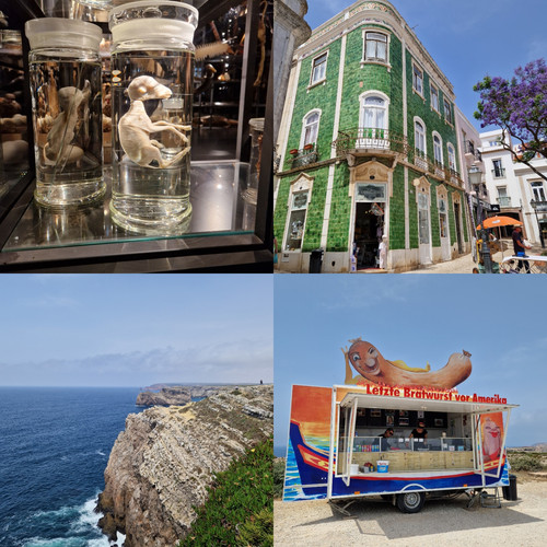 IMG 20231211 151230[1].jpg