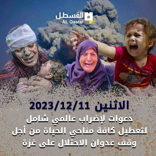 52E83084 B028 4348 92C1 7FCC9395F21F.jpg