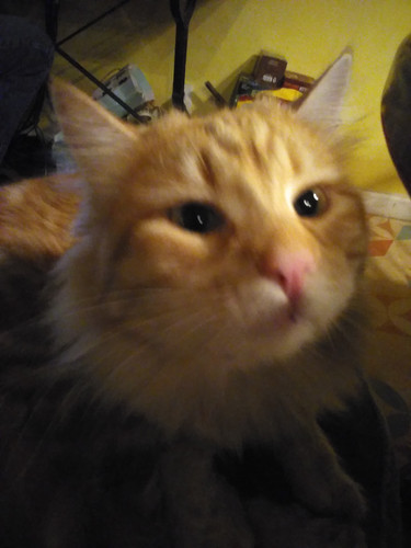 IMG 20231207 185426.jpg