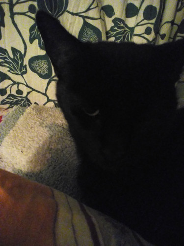 IMG 20231206 210016.jpg