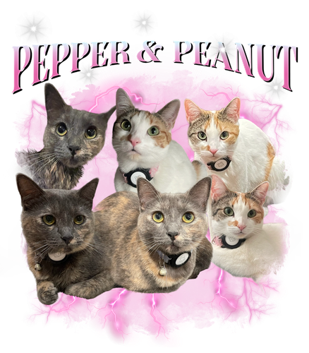 Peanut & Pepper + 10 (pink & white) + 1.png